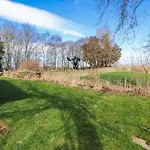 Old Riggs Paddock