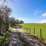 Old Riggs Paddock