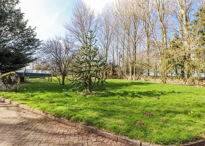 Old Riggs Paddock * Penrith